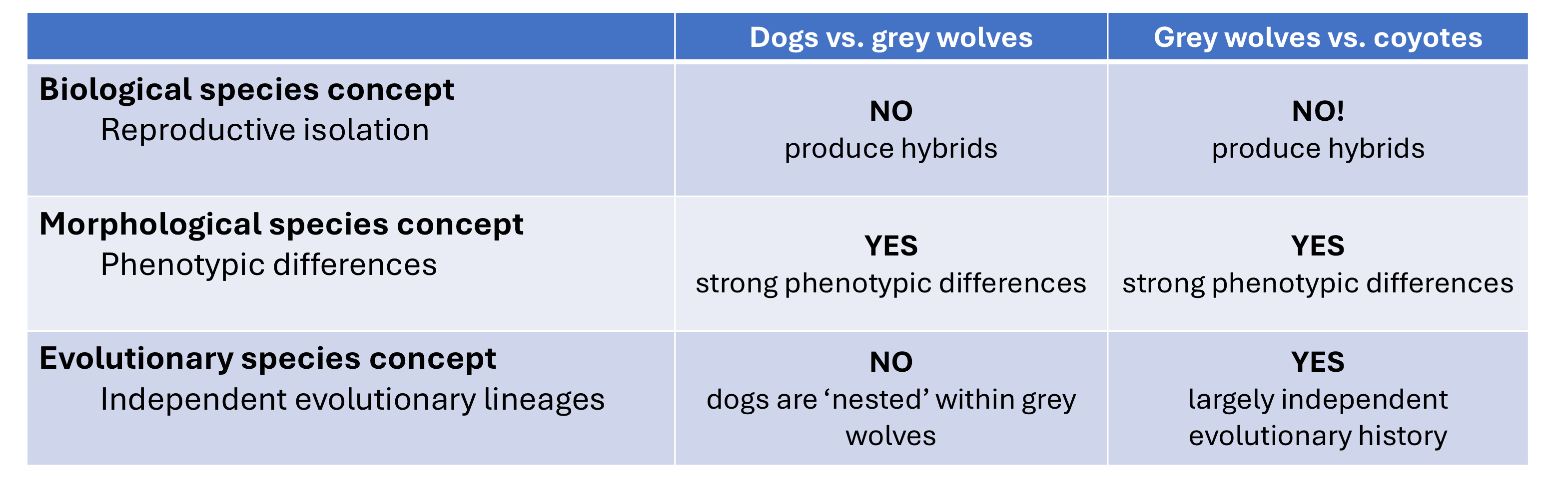 <p>No. They are a subspecies Canis lupus familiaris</p>