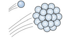 <p>Why multicellularity? (1/10)</p><p>Increased …</p>