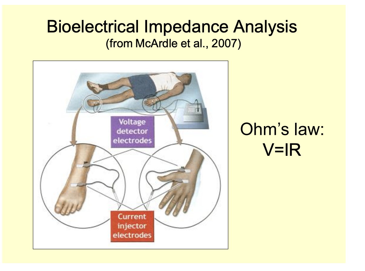<p>Uses V=IR</p><ul><li><p>sends a current through the body</p></li><li><p>measure the voltage</p></li><li><p>calculate the resistance</p></li><li><p>more fat→ high the resistance</p></li></ul><p></p>