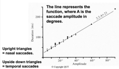 <p>Saccade duration increase as what increases?</p>