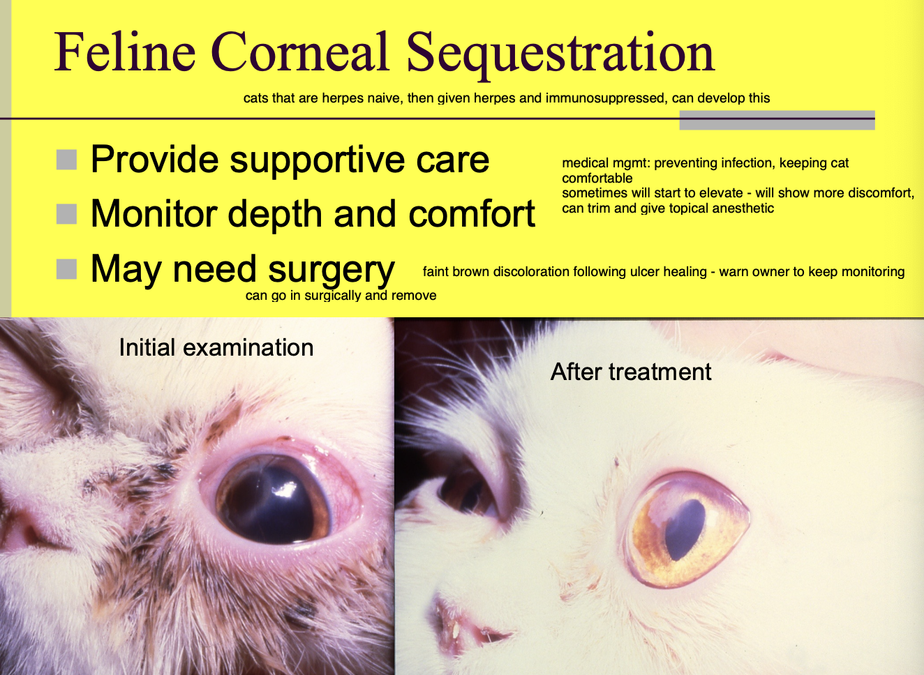 <p>there is an abnormality of the eye (ex. can be previous injury or FHV but not every cat w/ FHV gets this)</p>