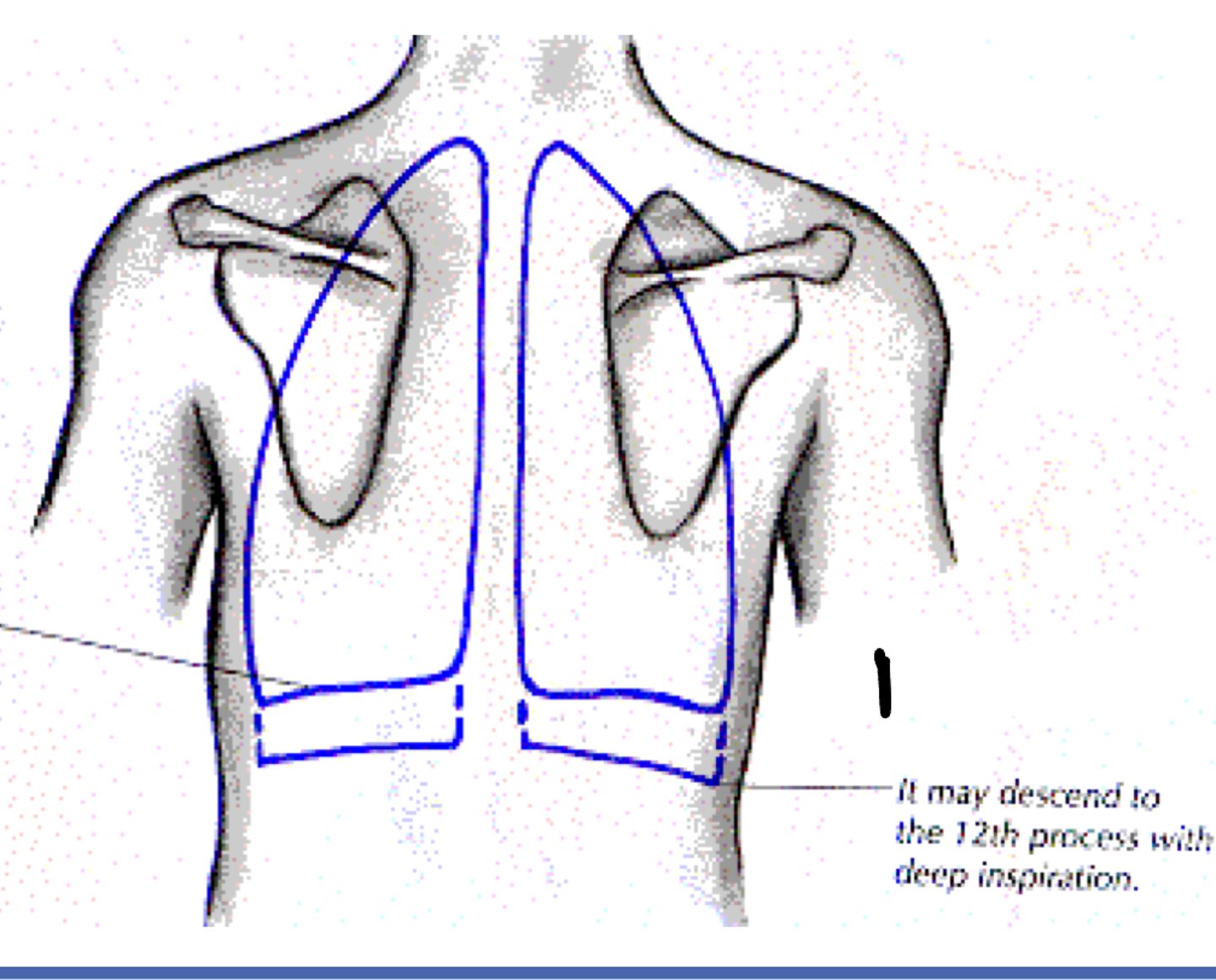<p>1</p>
