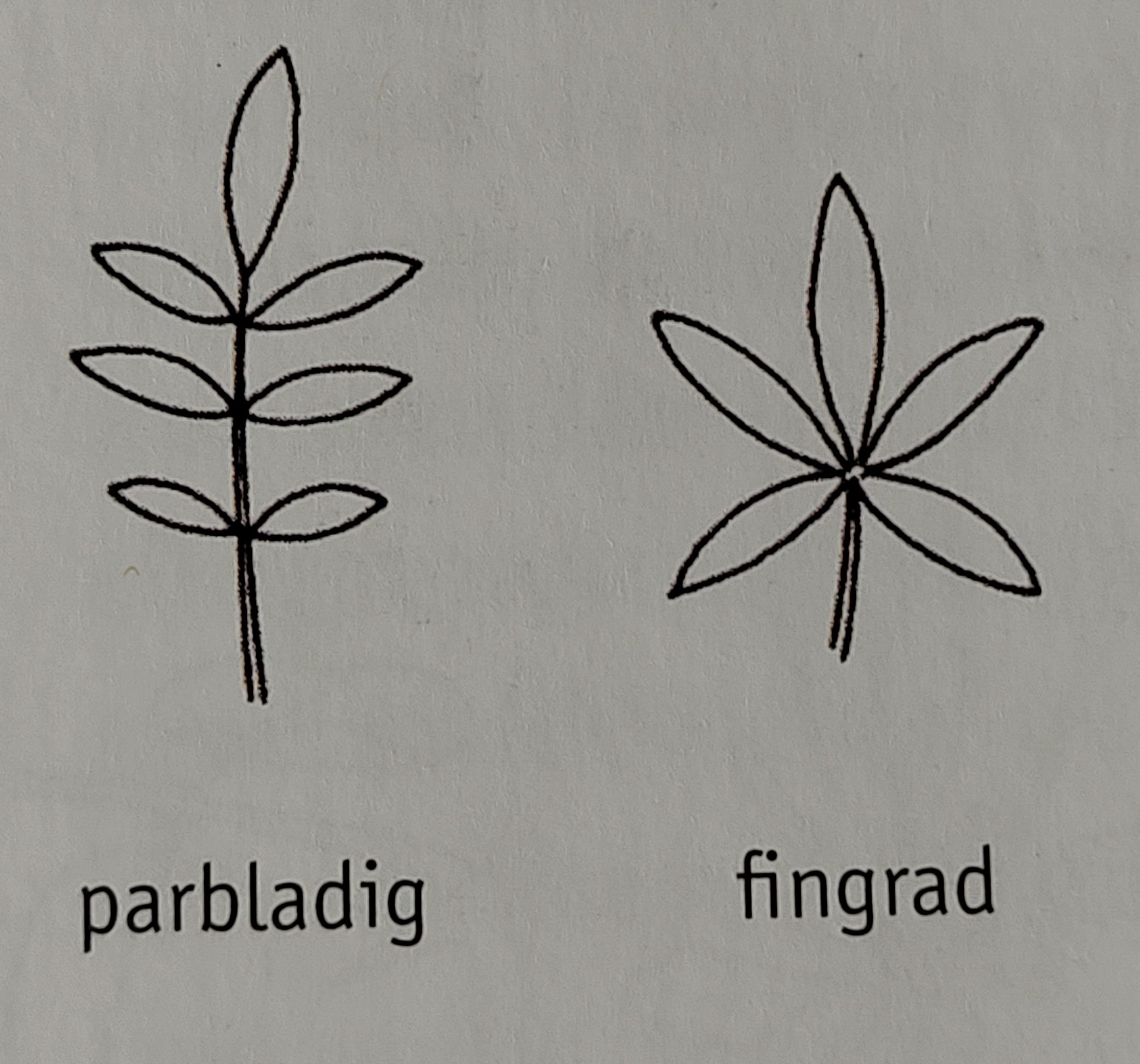 <p></p>