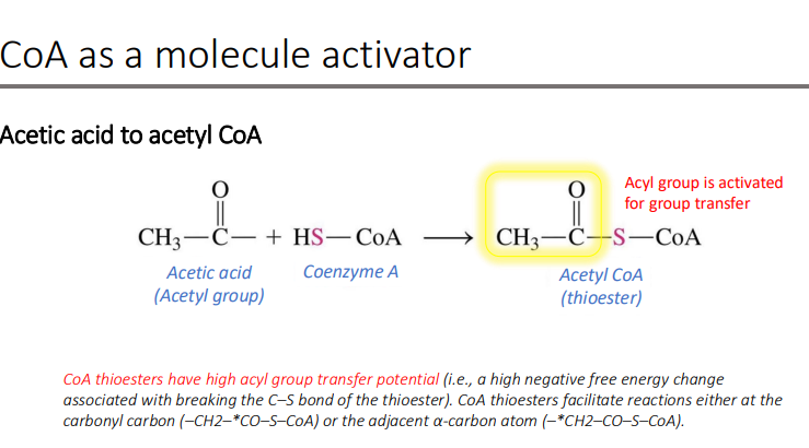 <p>group transfer </p>
