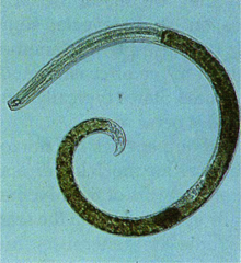 <p>What is this?</p>