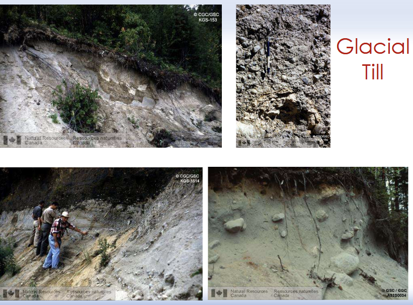 <p>Till: in geology, unsorted material deposited directly by glacial ice and showing no stratification, can be debris left behind by melting glaciers</p><ul><li><p>If deposited directly by the ice sheet, till is composed of particles of different sizes</p></li></ul><p></p>
