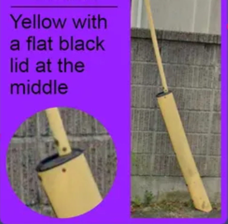 term image