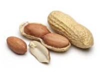 <p><strong>Aflatoxin</strong> is associated with the development of <strong>liver</strong> <strong>cancer</strong></p>