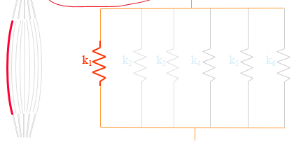 <p>represent muscle fibers as parallel springs </p>