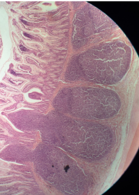 <p>What is this? where is it located?</p>