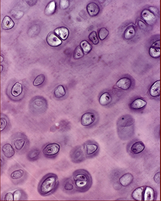 <p>What is this?</p>
