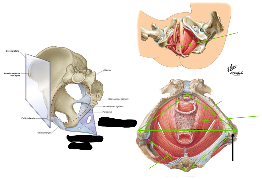 <p>Label the following diagram</p>