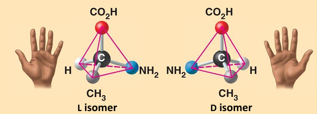 <p>isomers that are mirror images </p>
