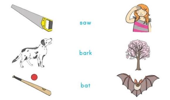 <p>Homographs</p>