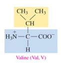 <p>nonpolar amino acid with alkyl as R group</p>