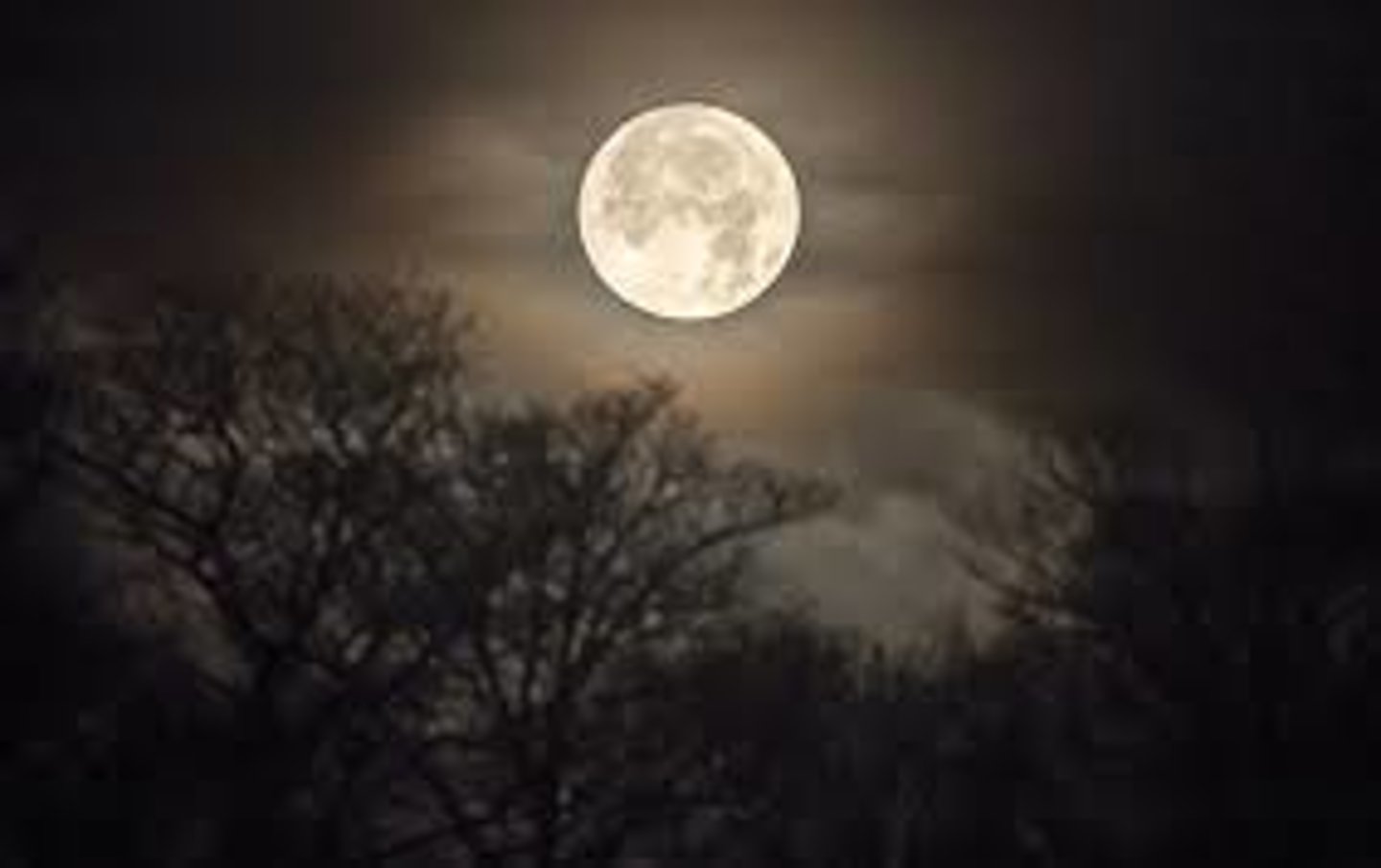 <p>(British English) đêm khuya/rạng sáng Ví dụ: He stayed awake till the small hours.</p>