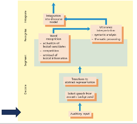 <p>Energetic masking, informational masking</p>