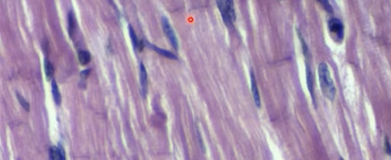 <p>what is this? </p>