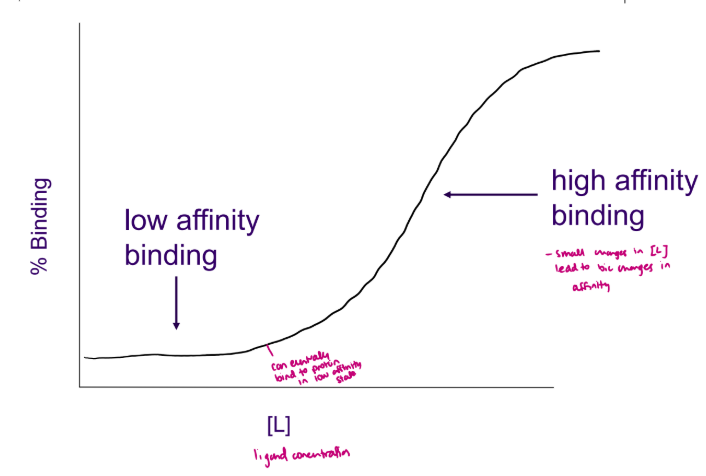 <p>diagnostic </p><p>of cooperative binding affinity.</p><ul><li><p>Ligand affinity changes as more ligand binds - E.g. Hemoglobin (4 binding sites)</p></li><li><p>typically, oligomers - more than 1 subunit</p></li></ul><p><span data-name="black_small_square" data-type="emoji">▪</span> More than one binding site for the ligand</p>
