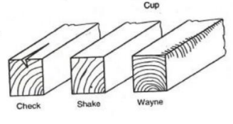 <p>A seasoning defect involving a lengthwise separation of wood that typically extends across the annual growth rings.</p>