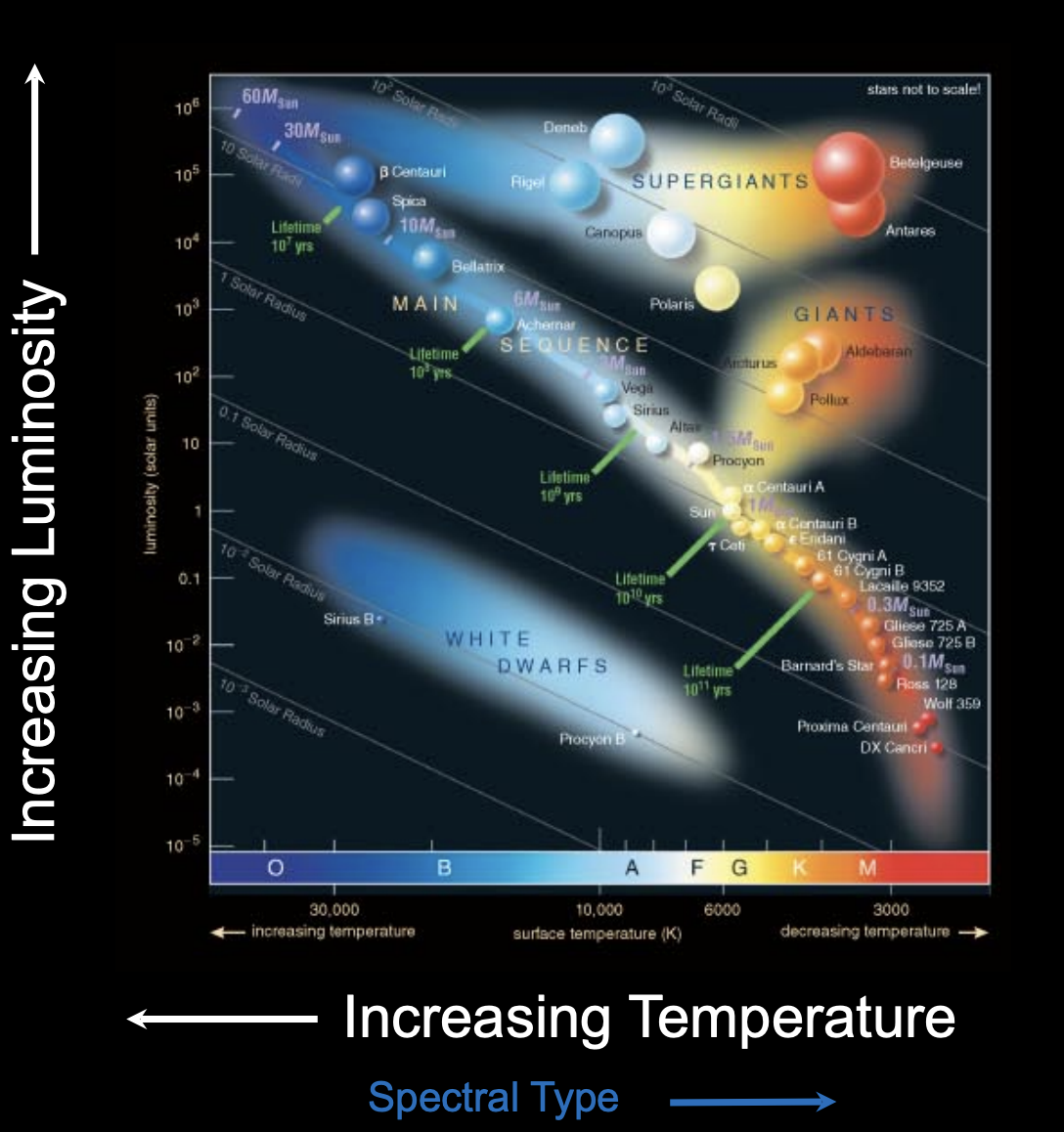 <p></p><ul><li><p><strong>Star luminosity</strong> vs <strong>surface temperature</strong></p></li></ul><p>General regions:</p><ul><li><p><strong>Main Sequence</strong> – most stars</p></li><li><p><strong>Red Giants / Supergiants</strong> – upper right</p></li><li><p><strong>White Dwarfs</strong> – lower left</p></li></ul><p>When stars leave the main sequence:</p><ul><li><p>They move <strong>up and to the right</strong> toward the <strong>red giant region</strong>.</p></li><li><p> Stars on the main sequence are actively fusing Hydrogen into Helium in their cores</p><p></p></li></ul><p></p>