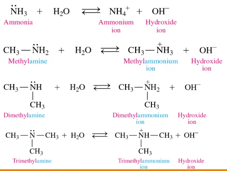 <p>are usually bases and form ammonium salts (or ammonium ions) in water</p>