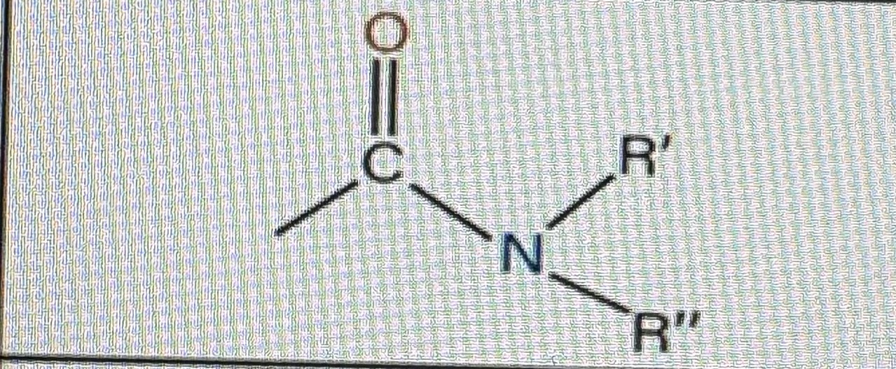 <p>Functional group nitrogen </p>