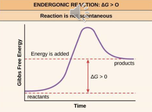 <ul><li><p>require input of energy </p><ul><li><p>ΔG > 0 </p></li></ul></li><li><p>products > reactants (free energy) </p></li><li><p>water is on products </p></li></ul><p></p>
