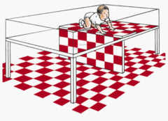 <p>Laboratory device for testing depth perception in infants and young animals. Study done by Eleanor Gibson</p>