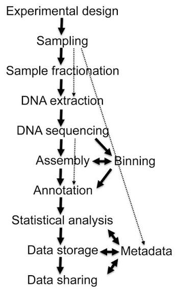 <p>a step-by-step path from physical sample collection to wet-lab processing and computer-based data analysis</p><ol><li><p>Sample Collection</p></li><li><p>DNA Extraction</p></li><li><p>Library Preparation</p></li><li><p>Sequencing</p></li><li><p>Quality Control (QC)</p></li><li><p>Host Decontamination</p></li><li><p>Assembly or Profiling</p></li><li><p>Binning and Annotation</p></li><li><p>Statistical and Diversity Analysis</p></li></ol><p></p>