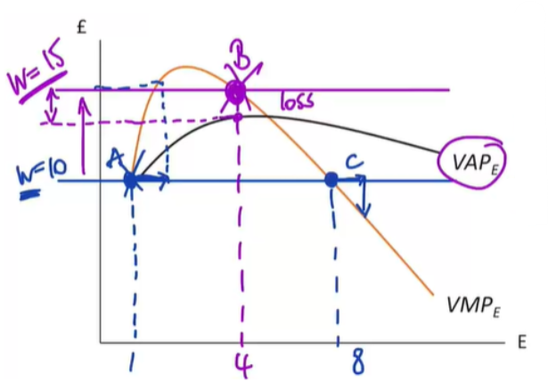<ul><li><p><span style="background-color: transparent;">The firm employs labour up to the point where VMPe = w</span></p></li><li><p><span style="background-color: transparent;">Profit maximisation also requires that the VMPe is declining so we are at point C&nbsp;and not point A</span></p></li><li><p><span style="background-color: transparent;">The wage will always be less than or equal to VAP</span></p></li></ul><p></p>