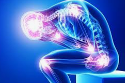 <p>something that’s long-lasting or constant </p>