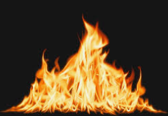 <p><span style="color: green;">das Feuer</span></p>