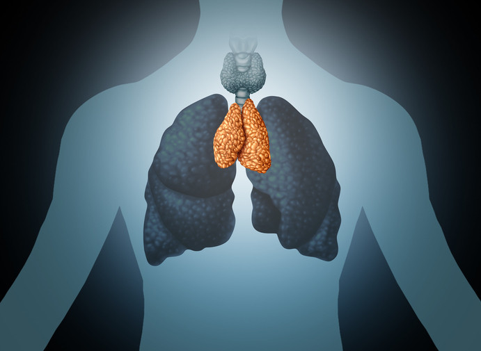 <p>helps develope t-cells<br>endocrine system</p>