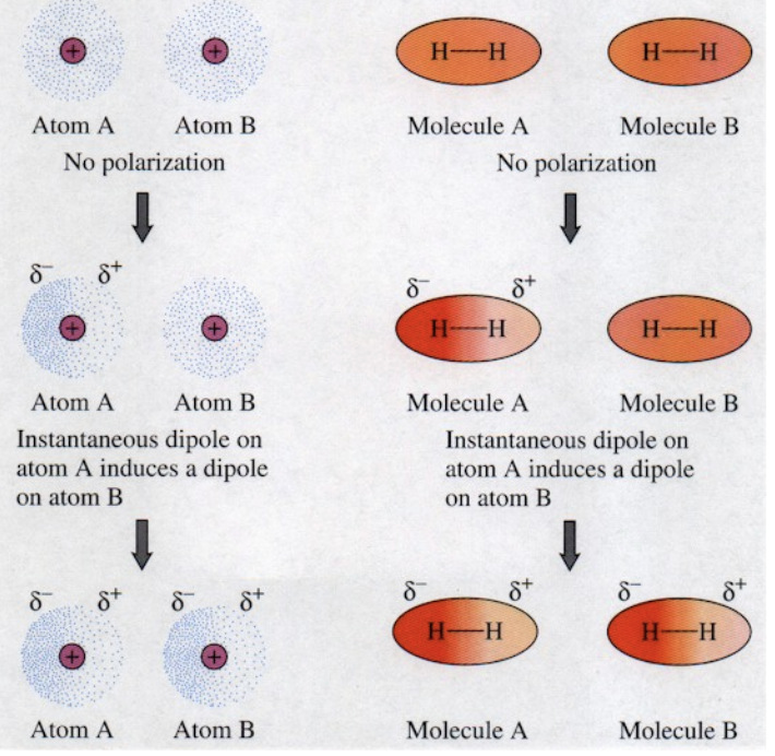 <p>Results due to a random asymmetric dispersion of electrons which cause an atom/molecule to become temporarily polar (have an instantaneous dipole) which causes neighboring atoms/molecules to experience a short-term electrostatic attraction toward one another</p>