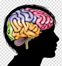 <p>/ nǎodai /</p><p><não đại></p><p>dt.</p><p>đầu</p>