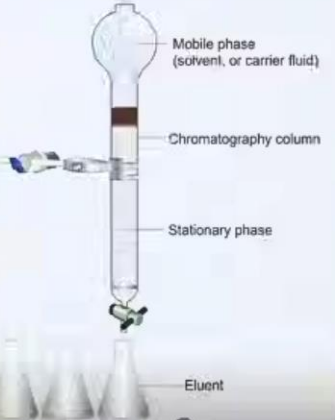 <ul><li><p>Mobile phase (gas or liquid)</p></li><li><p>Stationary phase (solid or liquid)</p></li><li><p>Column</p></li><li><p>Eluate</p></li></ul><p></p><p><em>[MECS]</em></p>