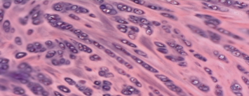 <p>Slide 25</p>