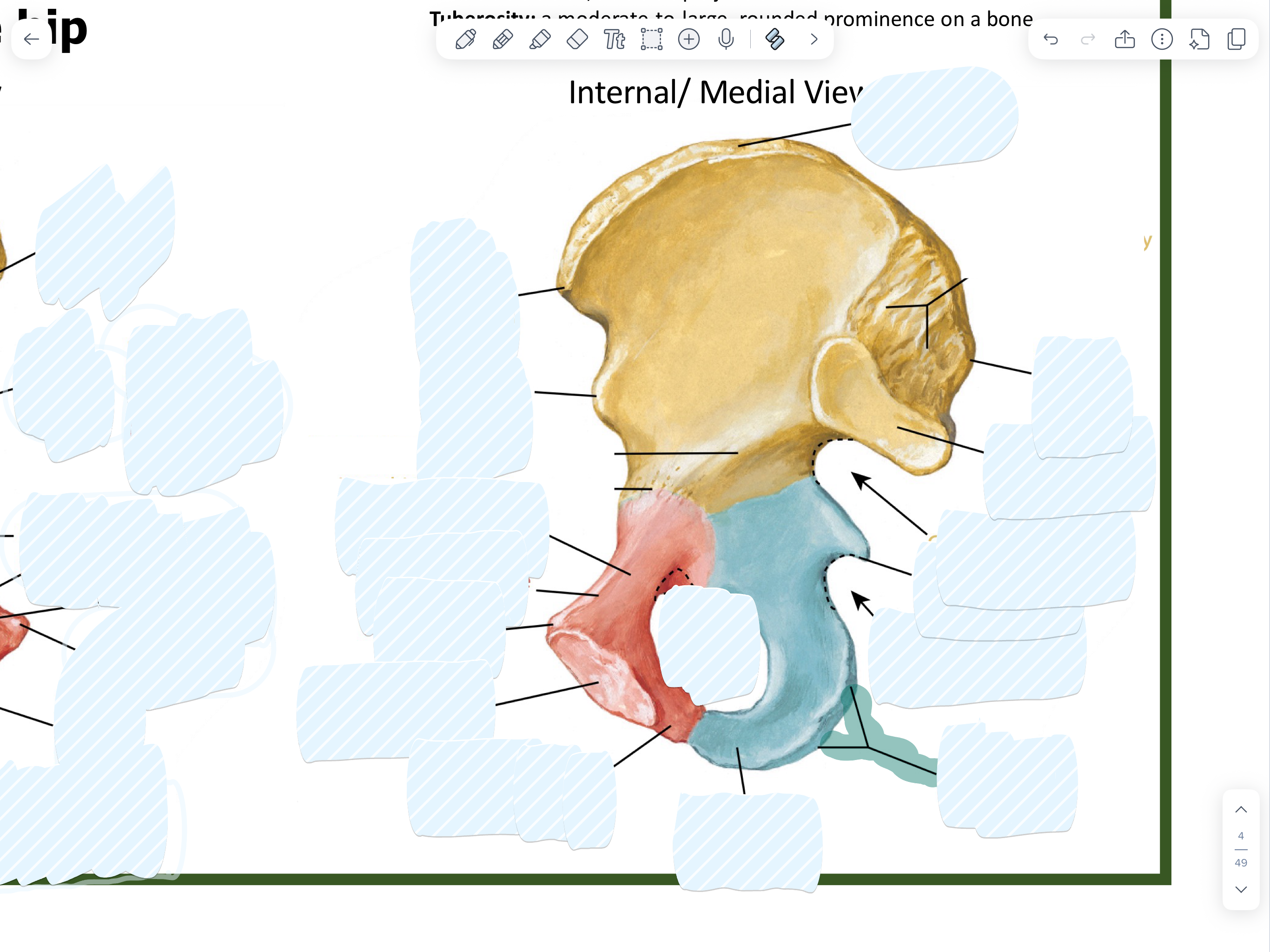 knowt flashcard image
