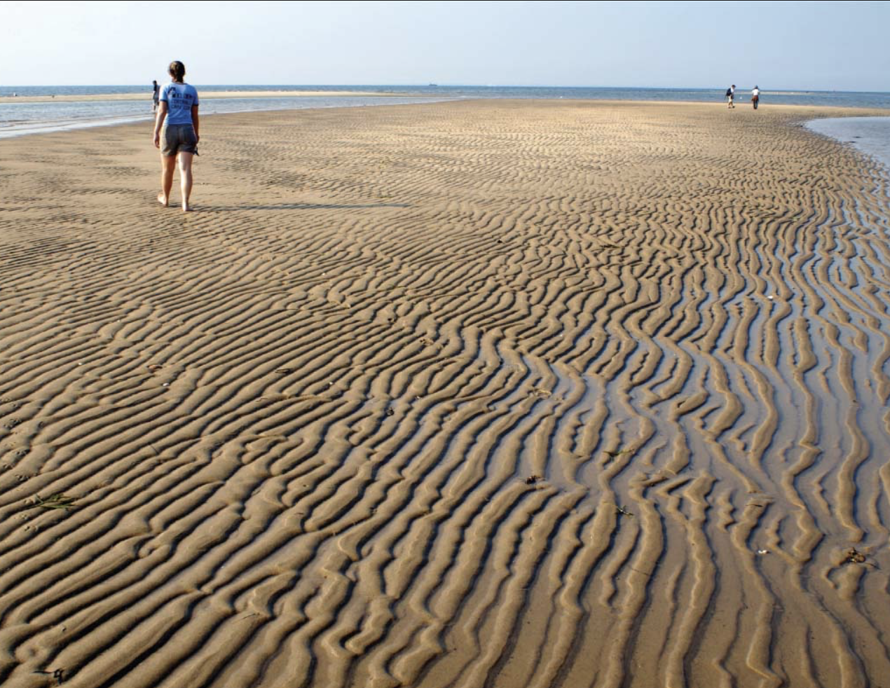 <p>relatively small (generally no more than a few centimeters high), elongate ridges that form on a bed surface at right angles to the direction of current flow</p><ul><li><p>found on modern beaches or streambeds, and others preserved on bedding planes of ancient rocks</p></li></ul><p></p>