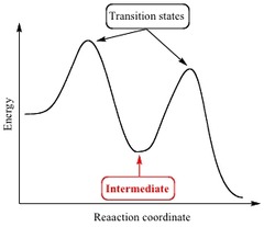 <p>1) the lower the activation energy --> the faster the reaction rate. The higher hill: is the reate-determining step but the smaller the highest hill the less energy required to overcome it so the reaction is faster</p><p>2) the greater the concentration of reactants --> the faster the reaction rate. Bc the more molecules the more collisions taht will happen</p><p>3) the higher the temperature the faster the reaction rate</p><p>4) GIBBS does NOT affect reaction rate (this is a thermodynamic factor doesnt affect kinetic factor)</p>
