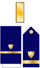 <p>The collar device is a gold bar. The shoulder board is blue with a gold shield and line</p>