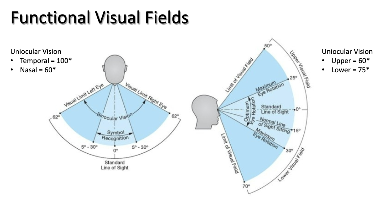 <p>fixated eye can detect visual stimulation in a specific part of the environment; photoreceptors and visual pathway take info into retina from a point of fixation</p><ul><li><p>factors: distance from eye, apparent size, stimulus duration, background lighting, intensity of stimulus, contrast, color, patient factors, adapting to light/dark</p></li></ul><p></p>