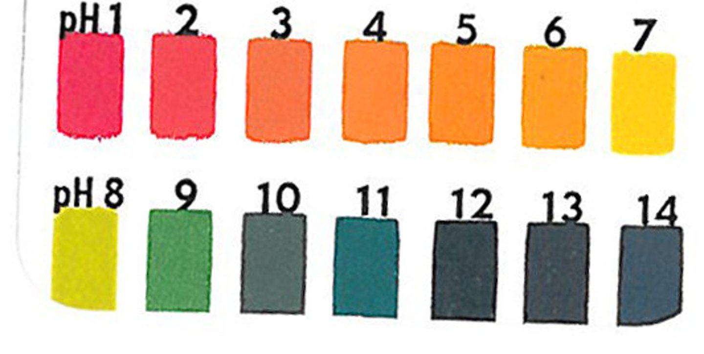 <p>If pH is 6-8, pour the solution down the drain.</p><p>If pH is below 6, add a small amount of sodium bicarbonate. To prevent foaming over, slowly pour and stir with sodium bicarbonate addition to prevent foaming over. Recheck with pH paper.</p><p>If pH is above 8, add citric acid and recheck with pH paper.</p>