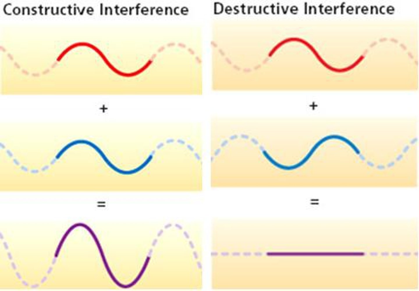 <p>The meeting and combining of waves. Can be constructive (bigger wave) or destructive (smaller wave)</p>