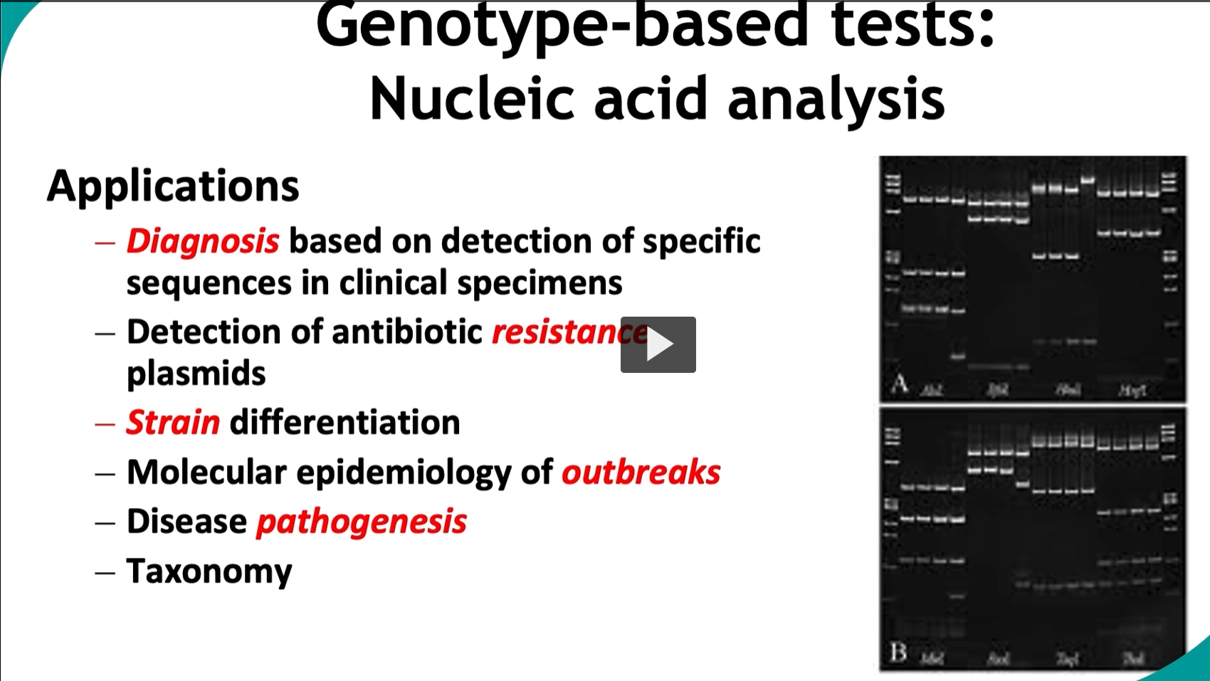 <p><strong>Genotype-based tests: Nucleic acid analysis</strong></p><div data-type="horizontalRule"><hr></div><p><strong>Applications</strong></p><ul><li><p><strong>Diagnosis </strong>based on <strong>detection </strong>of <strong>specific sequences</strong> in microbial pathogens from the patient, environment, or culture samples. </p></li><li><p>Key applications: Detection of antibiotic resistance plasmids (vital for outbreak management in healthcare settings)</p></li><li><p>These techniques allow for precise Strain differentiation</p></li><li><p>Molecular epidemiology of outbreaks, helping trace infections, sources, and spread. </p></li><li><p>Provide insights of Disease pathogenesis and microbial evolution. </p></li><li><p>Taxonomy</p></li></ul><p></p>