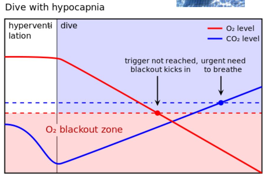 <p>What happens to O₂ levels before CO₂ reaches the trigger point?</p>