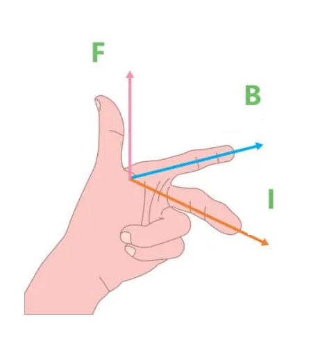 <p>What does each letter represent in the left hand rule?</p>