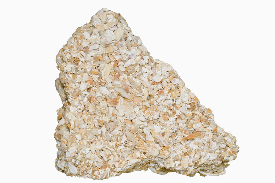 <p>looks like wheat, composed of shells, reacts with acid </p>