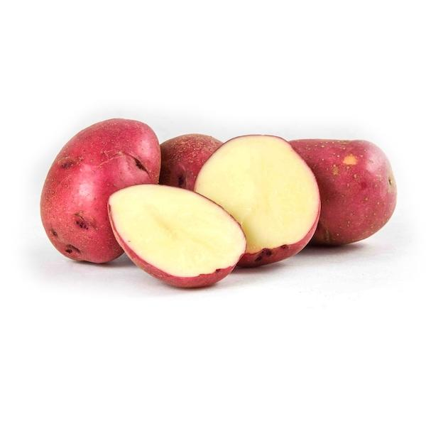 <p>What kind of USO is a Red Potato?</p>